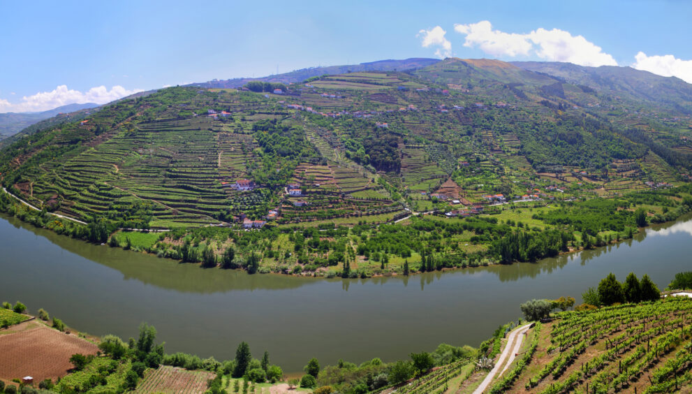 Portugal's Douro Valley: A Wine Connoisseur's Paradise