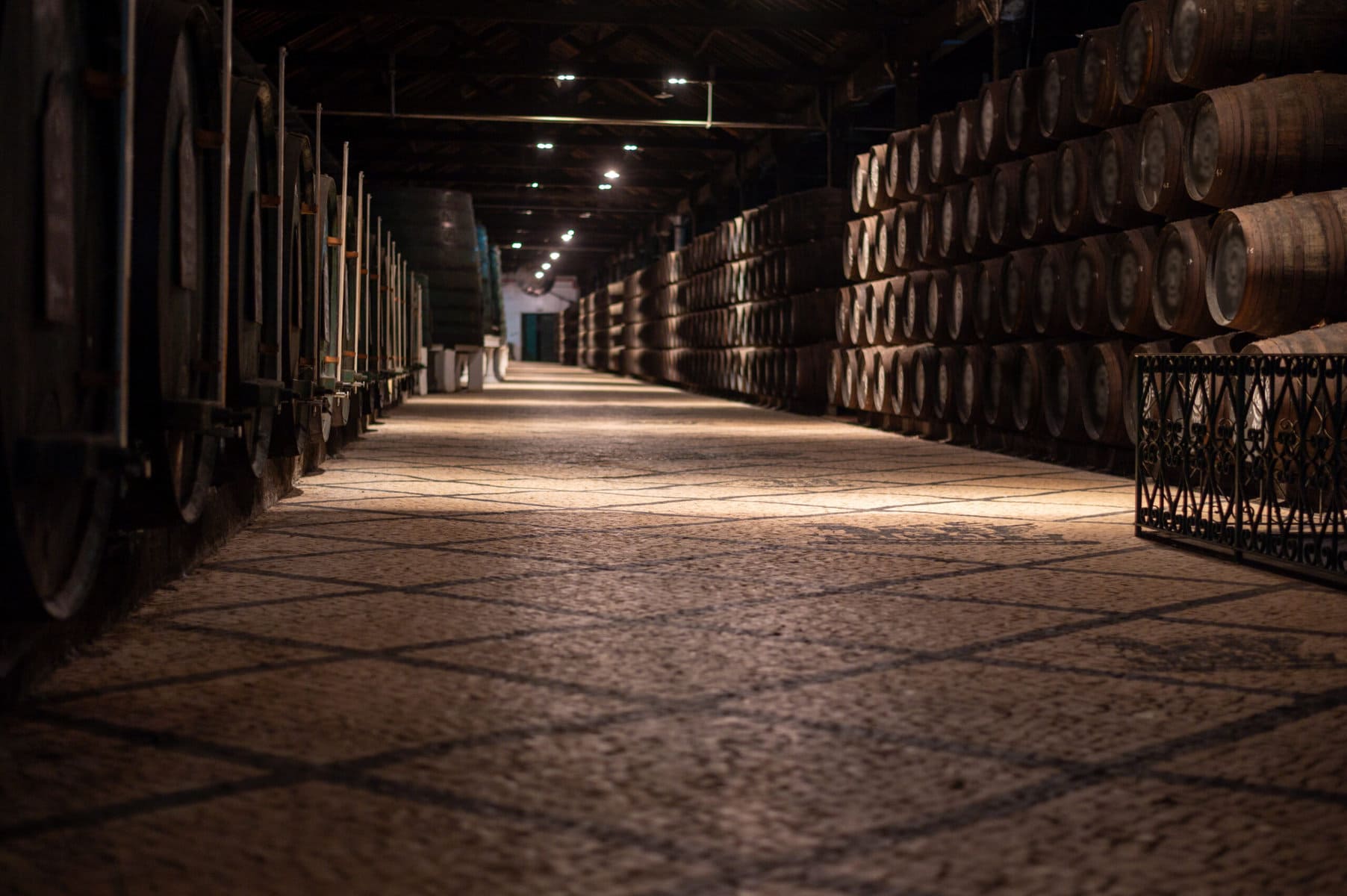 Explore the Charm of Porto, Portugal: A Guide