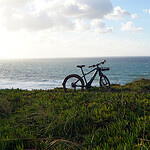 Eco-friendly Portugal: Green Travel Tips for Environmentalists