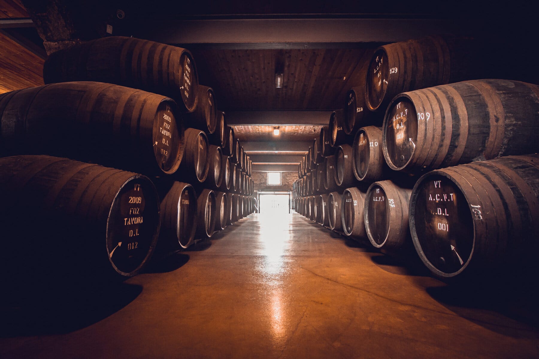 Porto's Wine and Charm: A Visitor's Guide